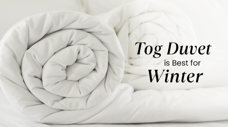 What Tog Duvet Is Best for Winter? A Comprehensive Guide
